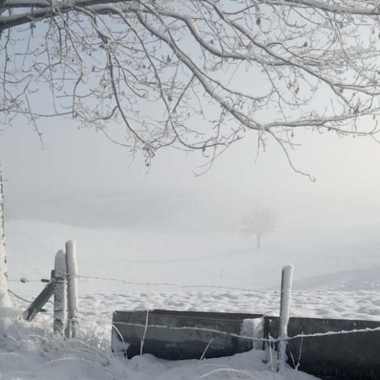 image du projet Film Herve - Herviscope, maison du tourisme du Pays de Herve